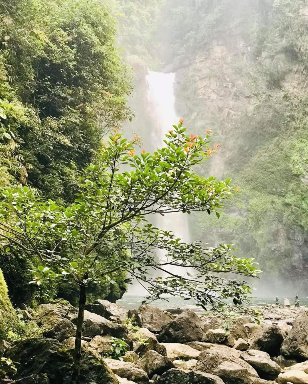 Batad Pension And Restaurant Banaue Luaran gambar
