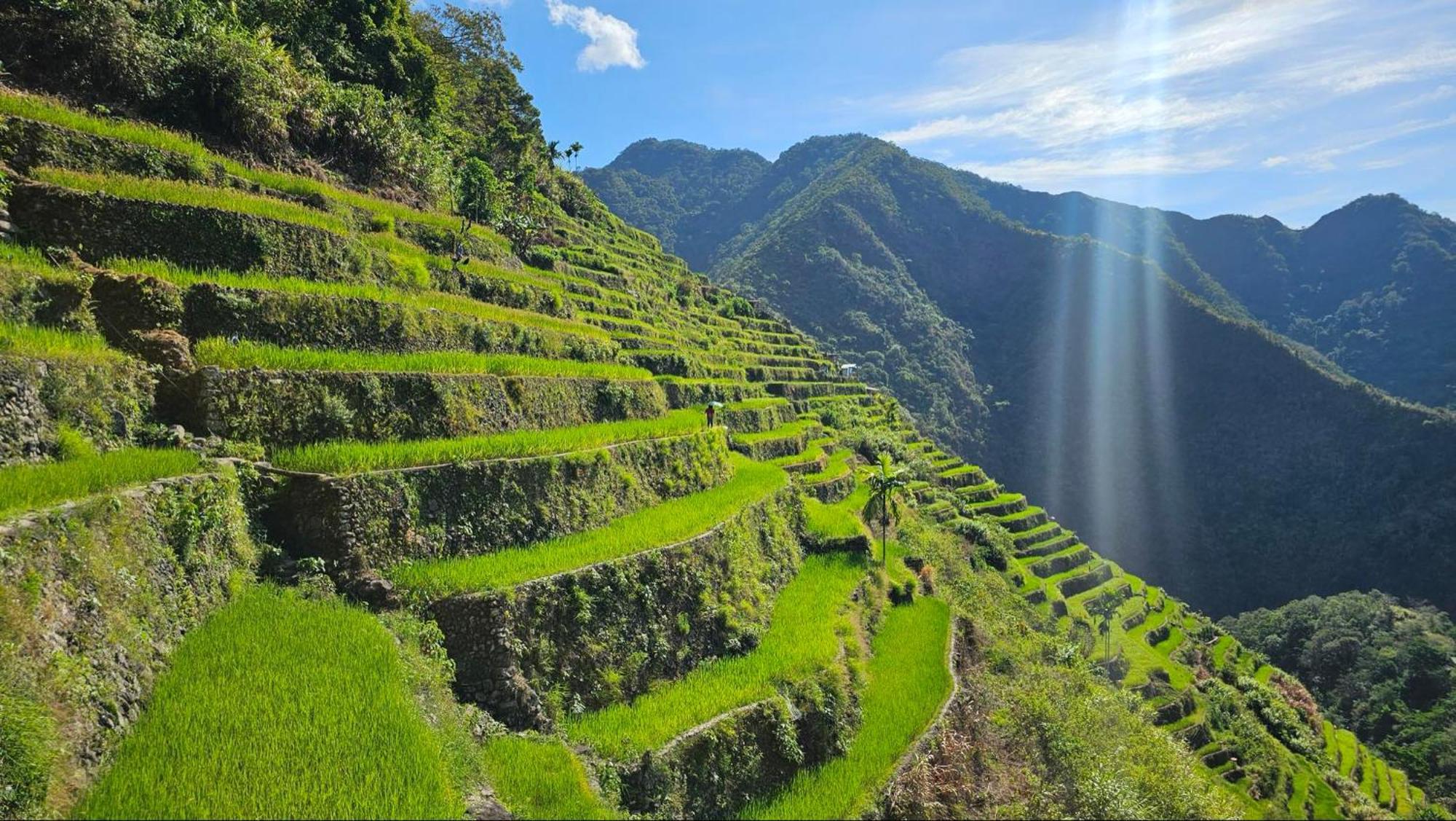 Batad Pension And Restaurant Banaue Luaran gambar