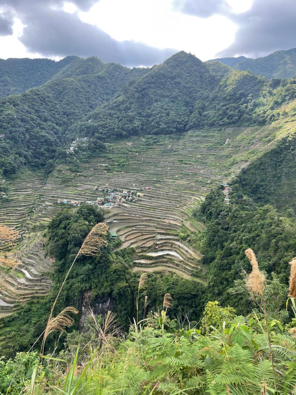 Batad Pension And Restaurant Banaue Luaran gambar