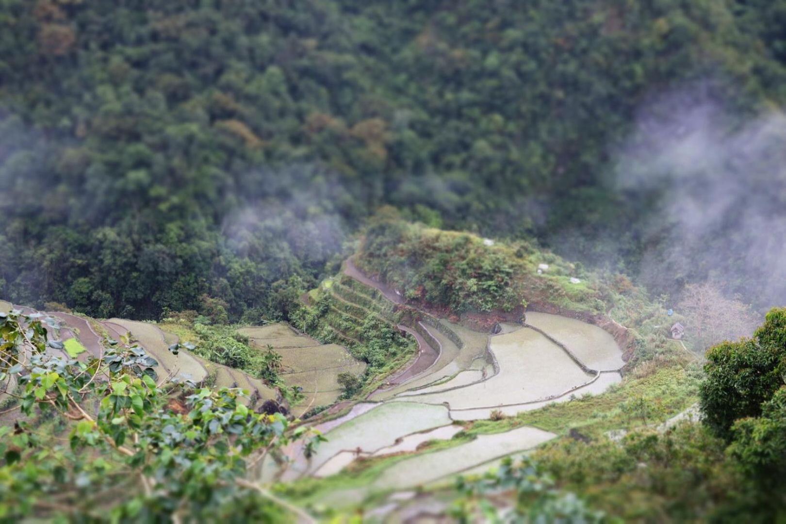 Batad Pension And Restaurant Banaue Luaran gambar