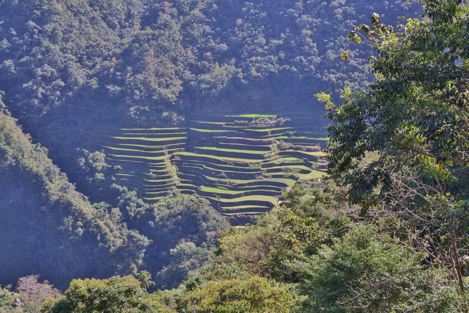 Batad Pension And Restaurant Banaue Luaran gambar