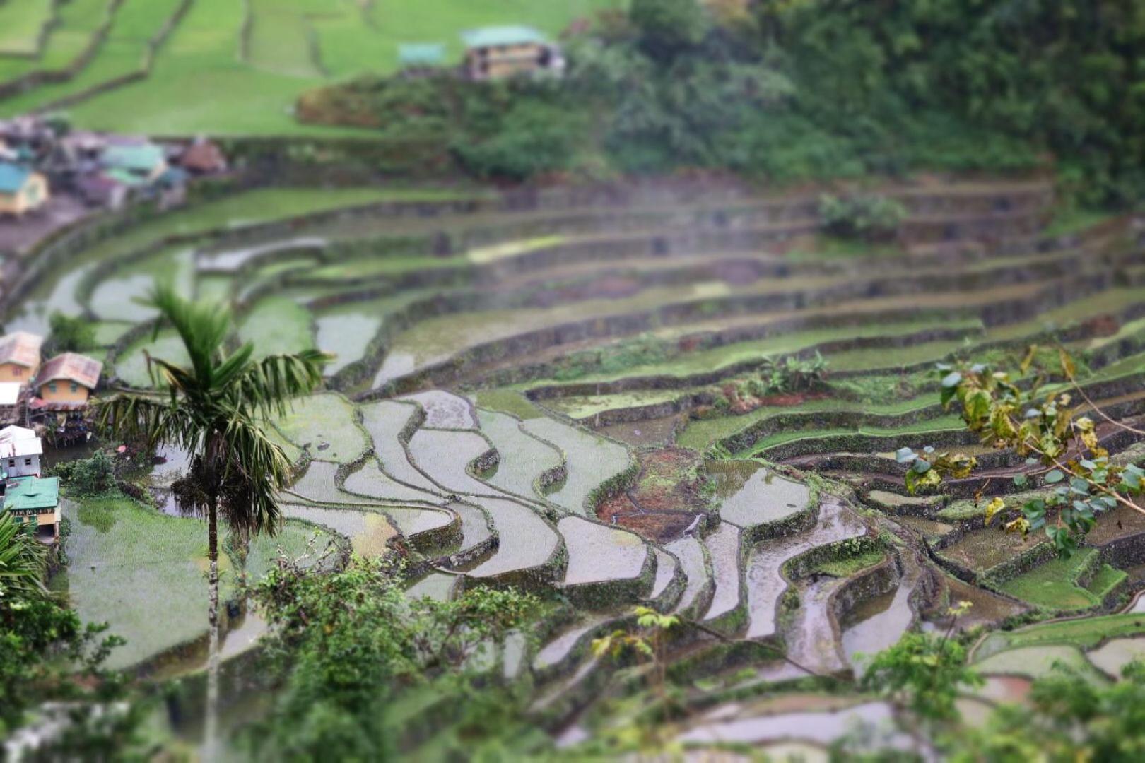 Batad Pension And Restaurant Banaue Luaran gambar