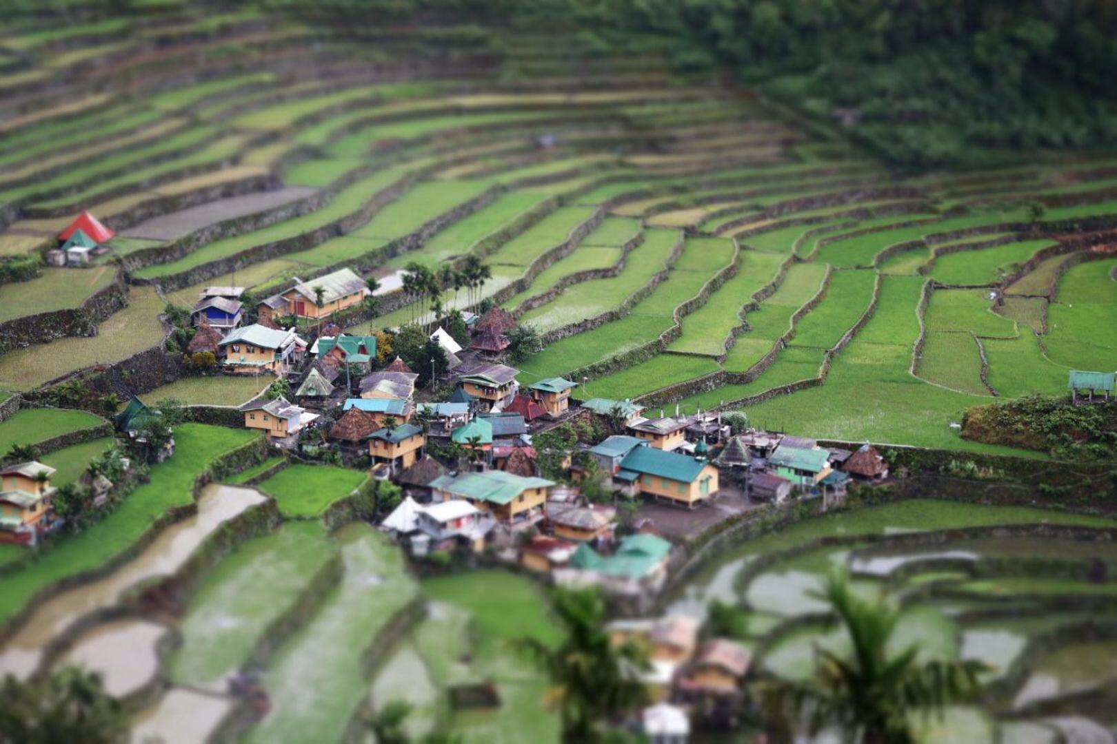 Batad Pension And Restaurant Banaue Luaran gambar